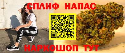 твердый Будённовск