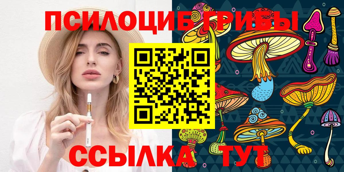 Псилоцибиновые грибы Cubensis Красноуфимск